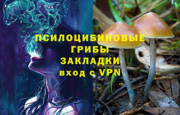 трава Балабаново